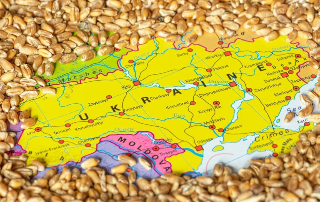 Pain and Grain in Central Europe