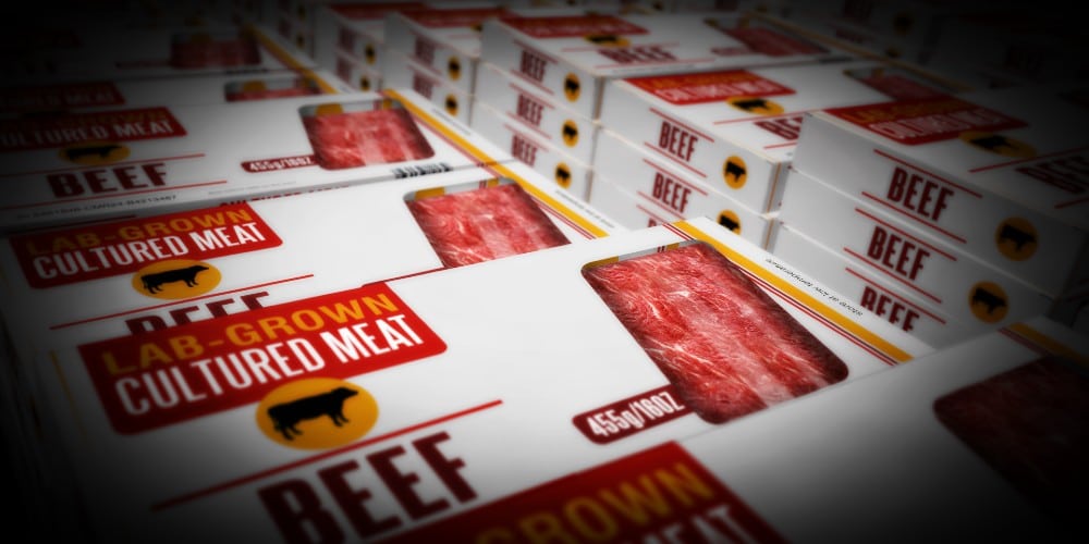 World’s Largest Artificial Meat Plant Is About to Be Constructed in Spain